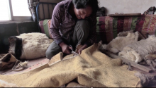 Making a sheepskin robe in Tsekok